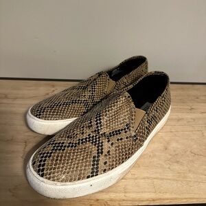 Steve Madden size 9 medium width, snake skin